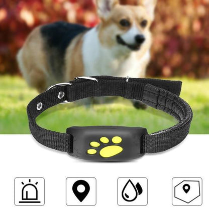 GPS pet tracker by My Store with compact design for locating dogs and cats outdoors