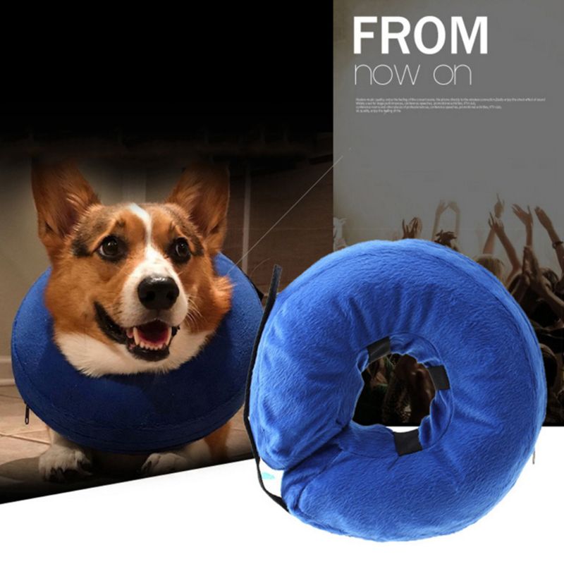 PVC inflatable dog collar for anti-bite and anti-lick protection
