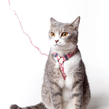 Slipping cat rope toy in a simple, durable design