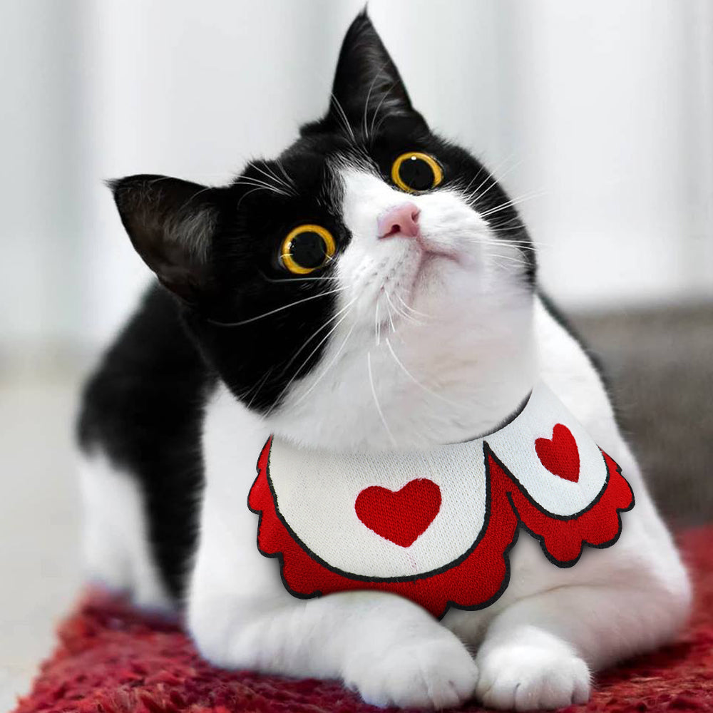 My Store pet collar displayed against a plain background
