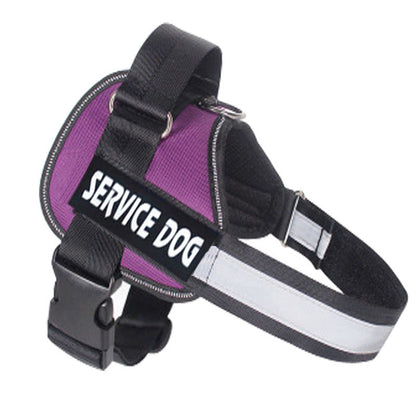 Labrador dog harness with matching leash, adjustable pet walking set in black-resistant material