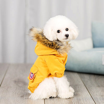 Pet dog wool hat and cotton clothes set in assorted colors