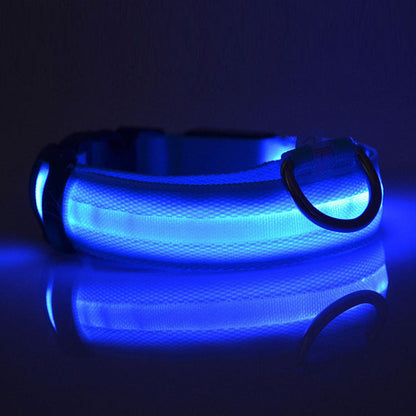 Safety Dog LED Collar glowing for visibility in low light, adjustable design shown on a dog collar close-up