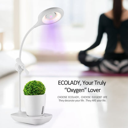 Intelligent plant growth box with table lamp by My Store, showcasing an indoor plant growing system and integrated light