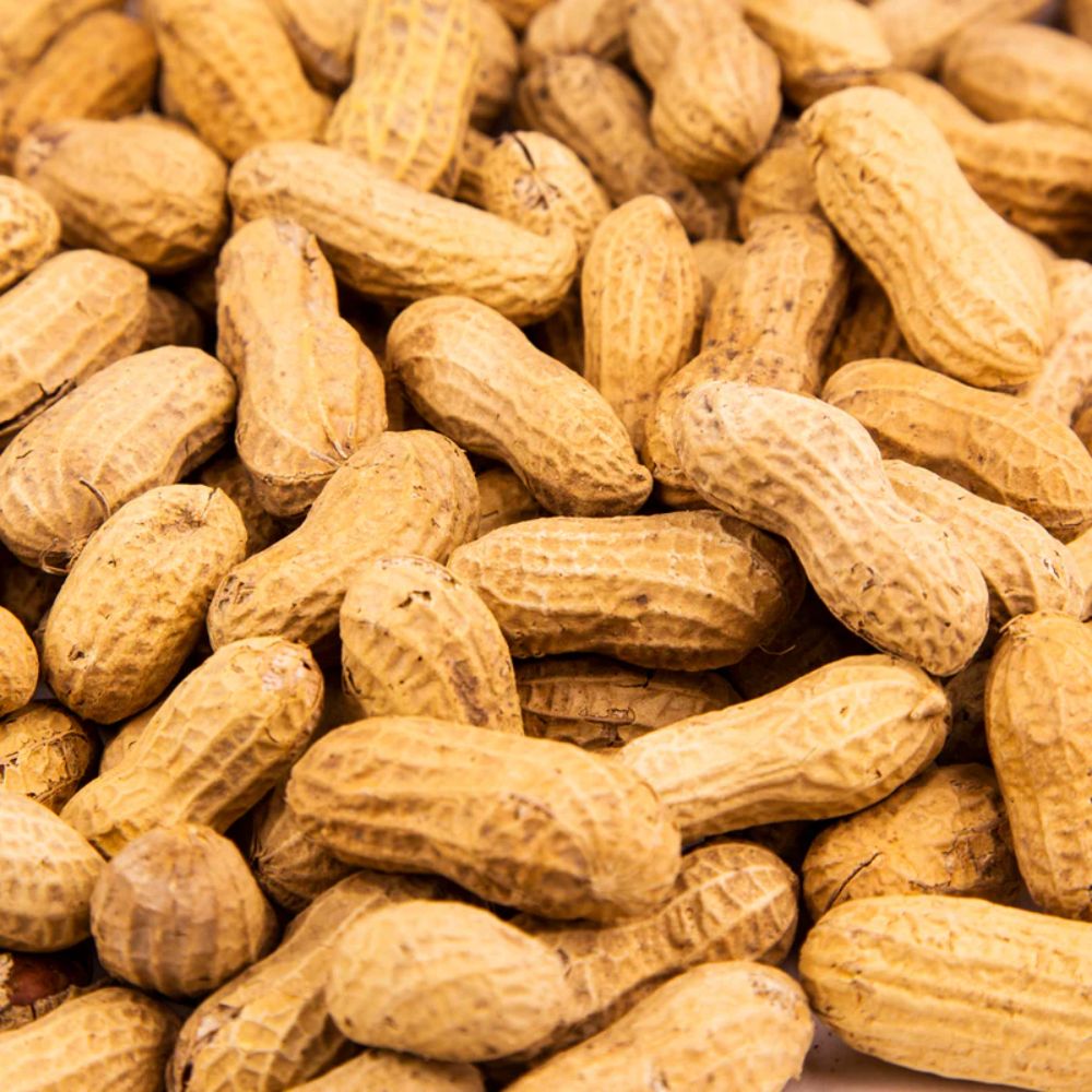 Roasted unsalted peanuts in shells from Candy In Bulk, shown in a bulk value bag, ready for snacking.