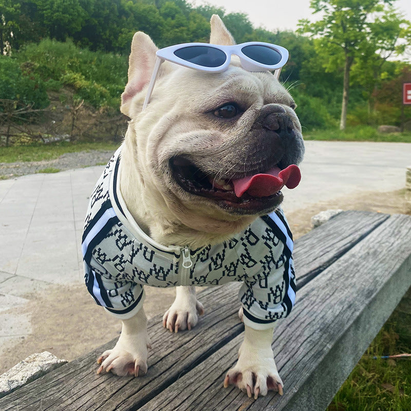 Zip-up stretchy dog clothing jacket by My Store, shown in a comfortable pet coat design