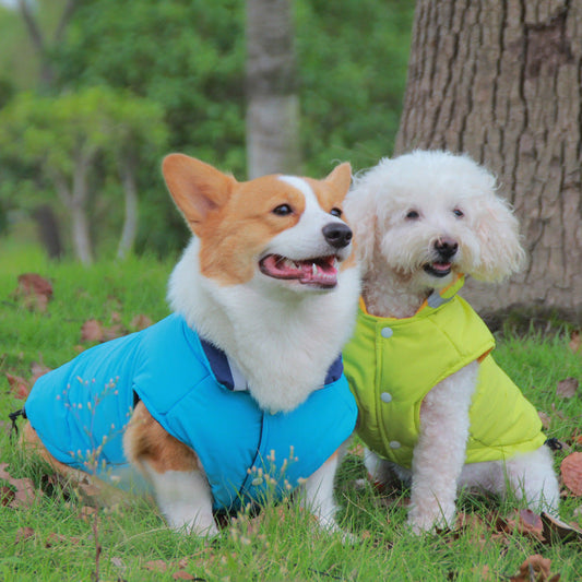 Thickened waterproof outdoor pet jacket with double-sided reflective design by My Store