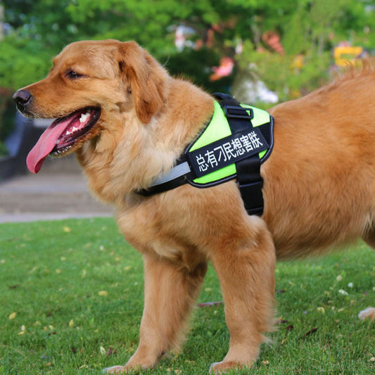 Fashion simple pet leash chest strap set, Type 7 harness and leash for pets