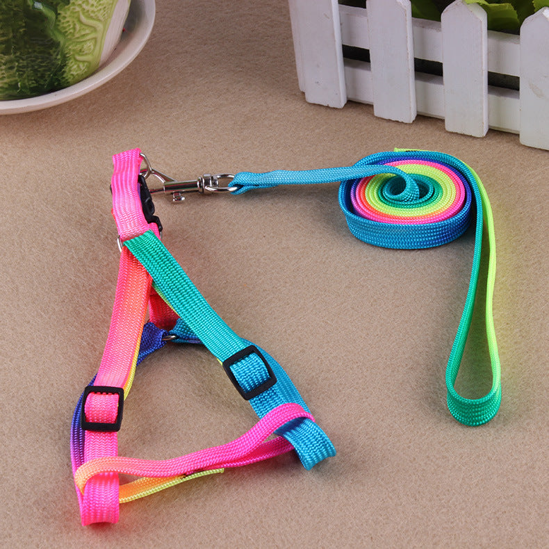 Colorful leashes by My Store displayed in assorted vibrant colors