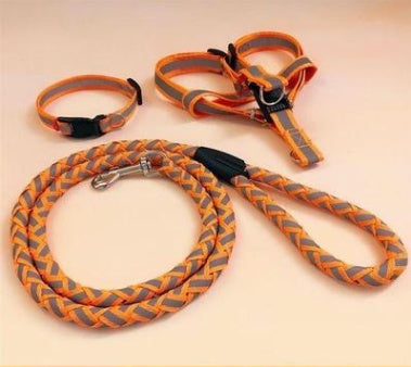 My Store pet dog leash displayed against a plain background