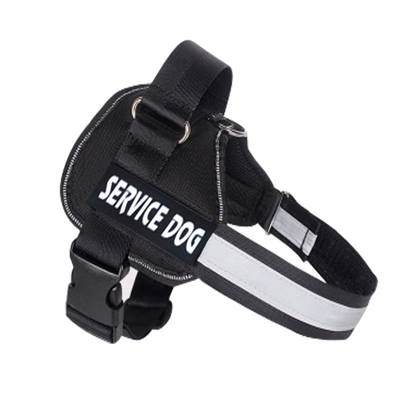 Labrador dog harness with matching leash, adjustable pet walking set in durable design