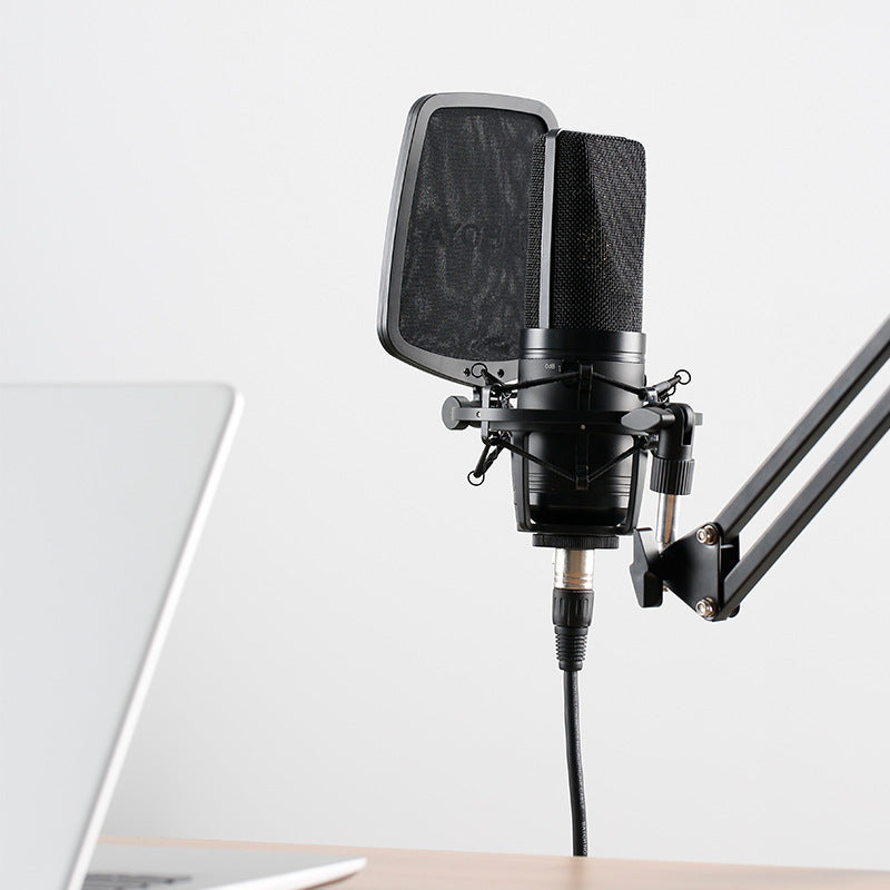 Large diaphragm condenser microphone for computer and K song recording setup