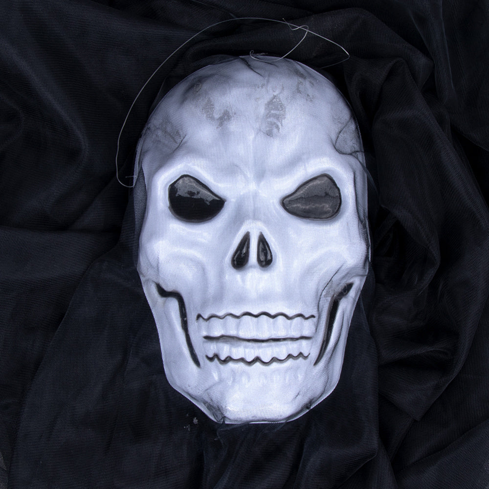 Halloween skull decoration displayed against a plain background