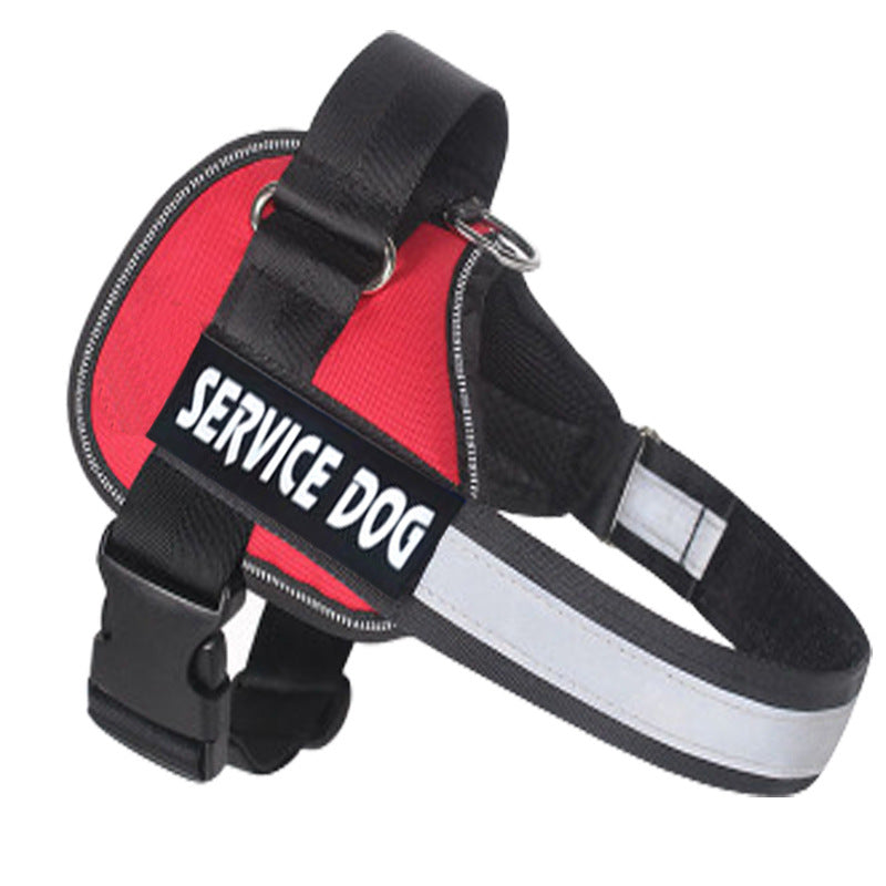 Labrador dog harness leash in black, adjustable and designed for comfortable walking