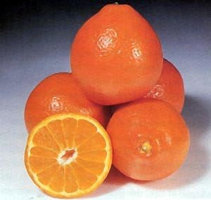 Large fresh oranges from Oranges At The Neighborhood Corner in a 4-pound bag, showcasing vibrant, ripe citrus fruit.