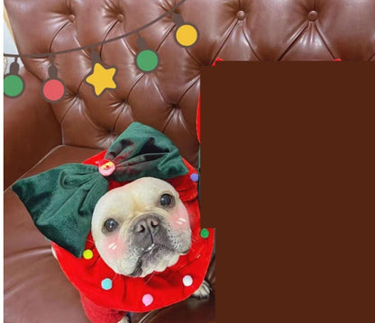 Cat wearing New Year's Christmas ornament headgear