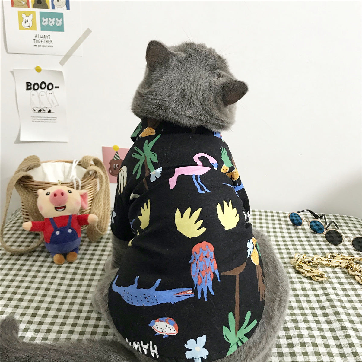 Cat clothes by My Store, shown in a simple product view