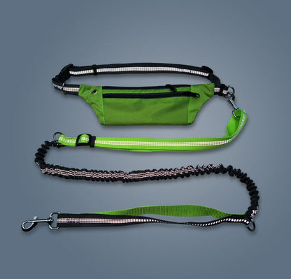 Hands-free dog collar without hands by My Store, adjustable pet collar shown on a plain background