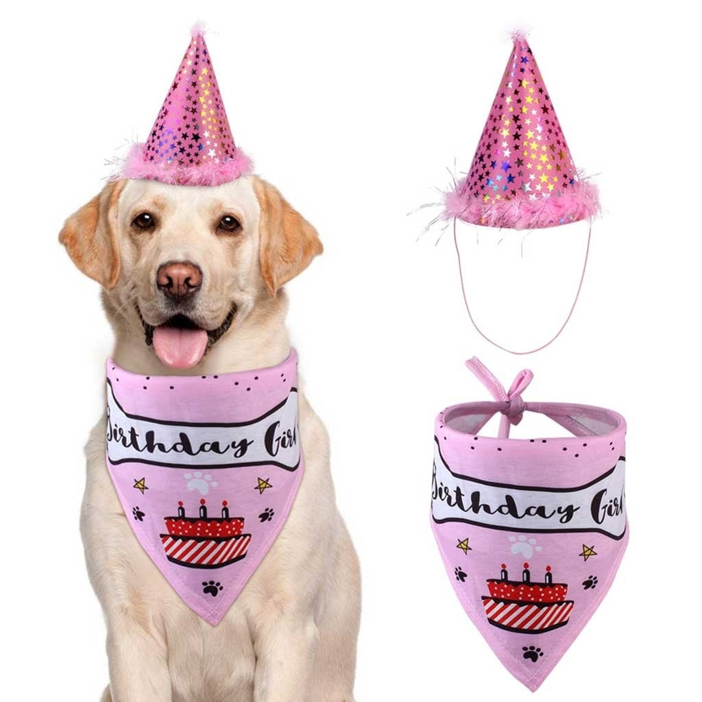 Pet birthday party hat and saliva towel set for dogs and cats, colorful celebration accessories