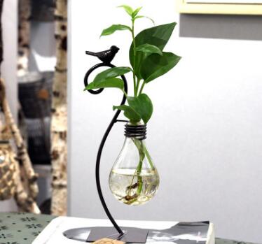 Hydroponic glass plant vessel with steel stand displaying green indoor plants