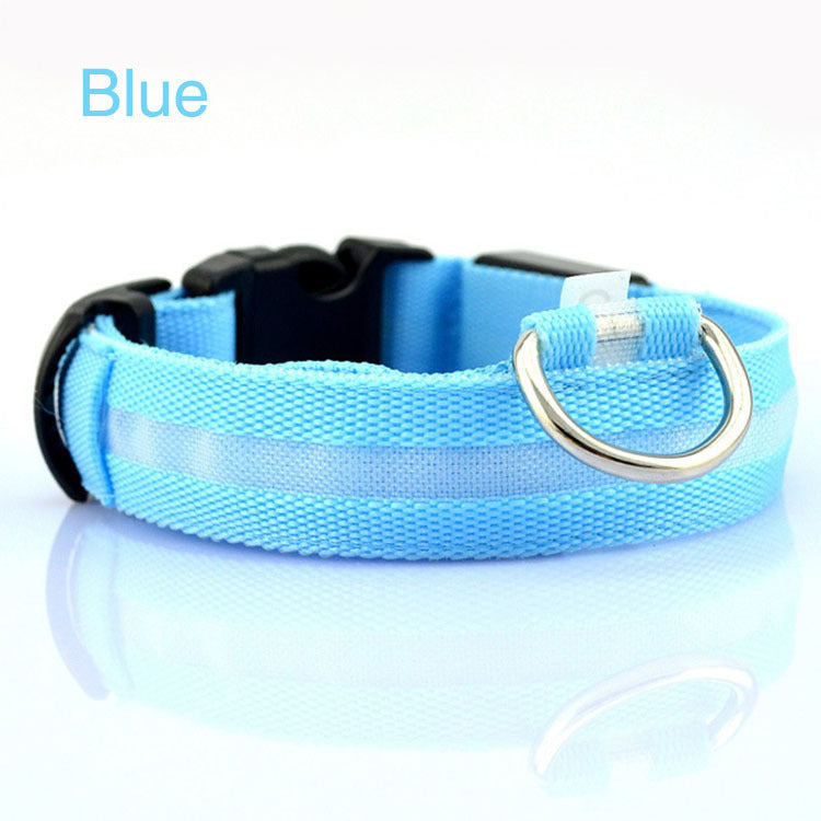 Safety Dog LED Collar in illuminated view for nighttime visibility