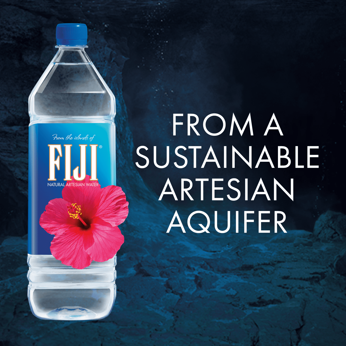 BackupMyFilesNow FIJI Water natural artesian bottled water, 50.7 fl oz, 12-pack, clear bottles with Fiji logo and blue caps.