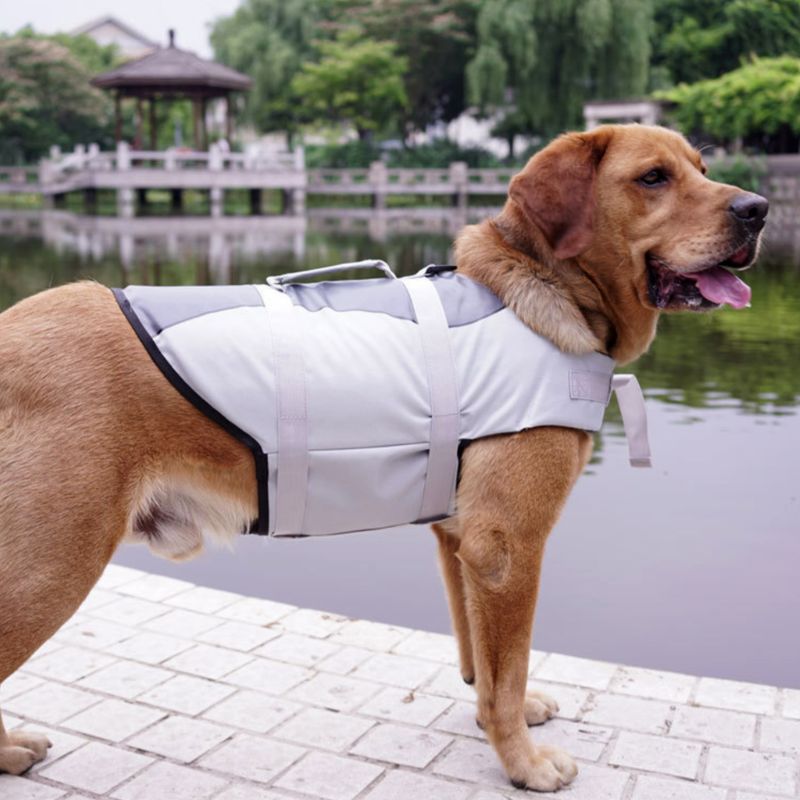 Pet life jacket by My Store, orange flotation vest with adjustable straps and reflective trim