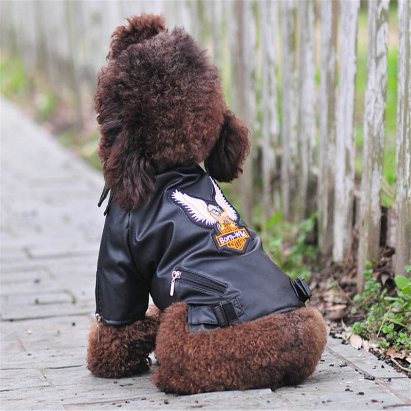 Small dog wearing a leather jacket with an embroidered eagle and sticker details