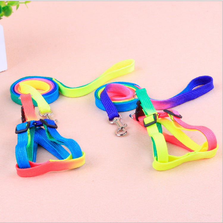 Colorful pet leashes by My Store displayed in assorted vibrant colors