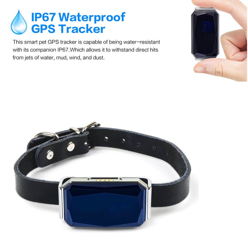 Pet tracking locator by My Store for monitoring a pet’s location