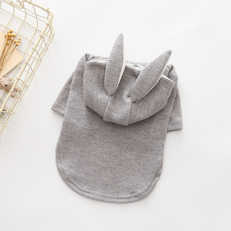 Small dog knitted sweater with rabbit ears costume in soft fabric, front view