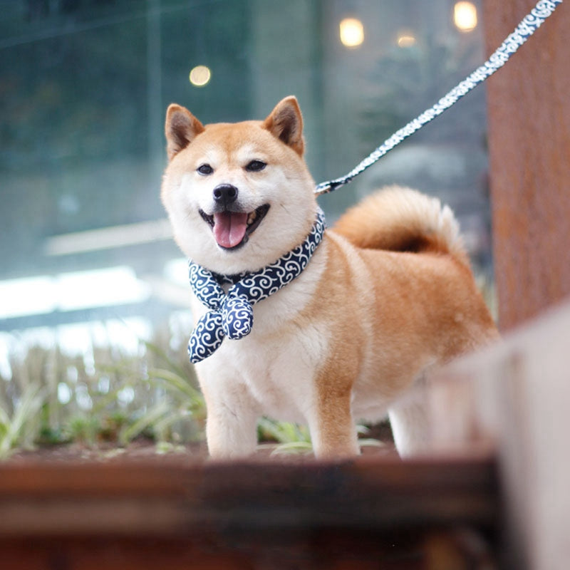 Japanese universal pet dog collar accessory in a simple design, shown against a plain background