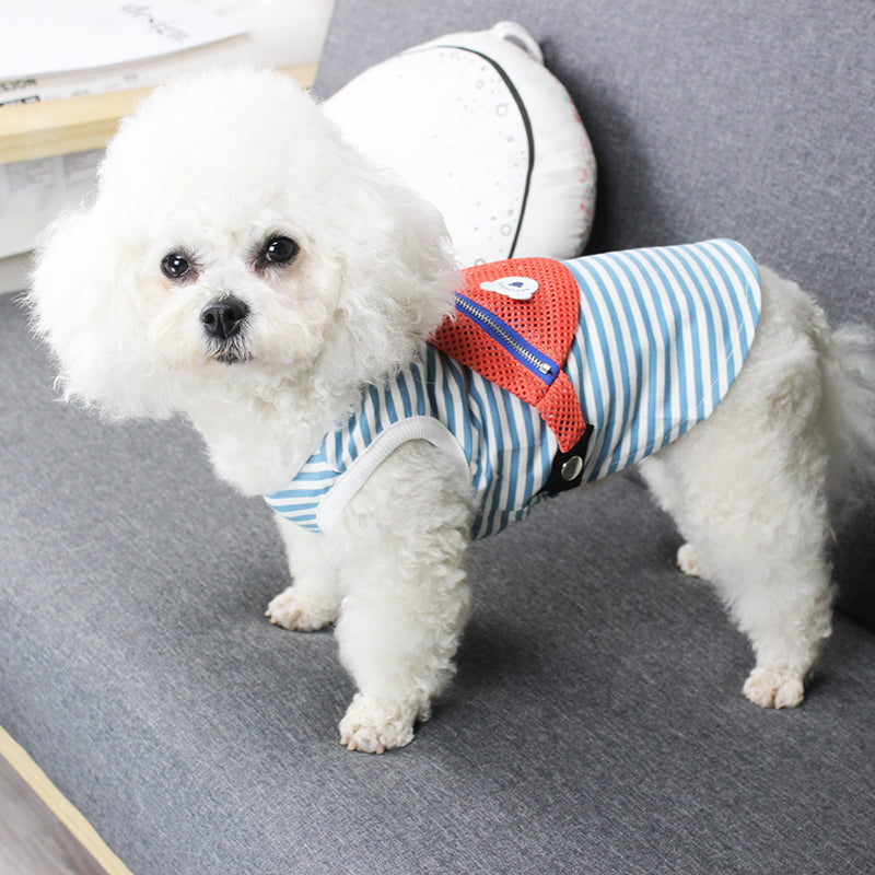 Small dog backpack vest, S-XXXL, featuring adjustable straps and a compact pack design