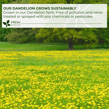 Dandelion Root Tea Bags