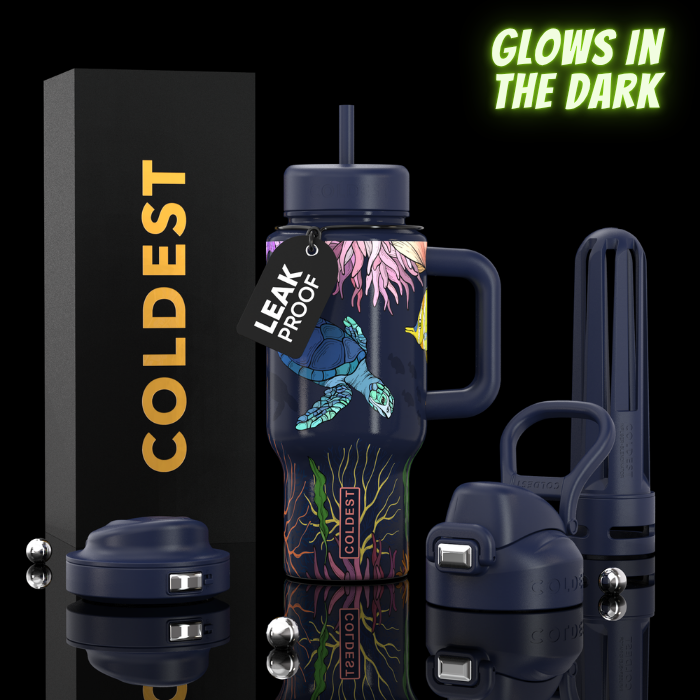 Coldest Limitless Ultra V8 24oz insulated stainless steel water bottle with a sleek design and secure lid.