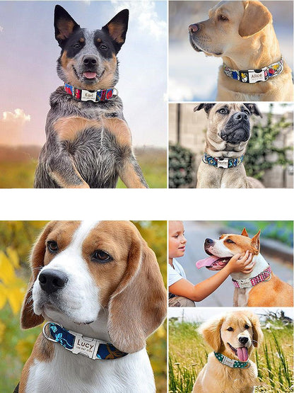 Large dog pet collar with personalized lettering, adjustable neck strap visibly displayed