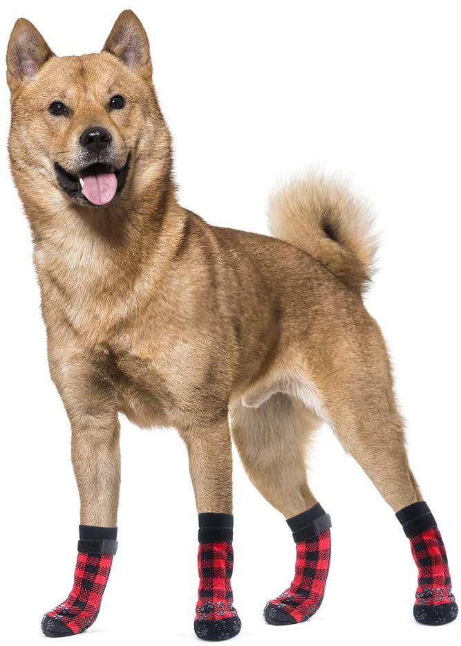 Cotton dog socks for pets, soft fabric paw coverings in assorted colors and patterns