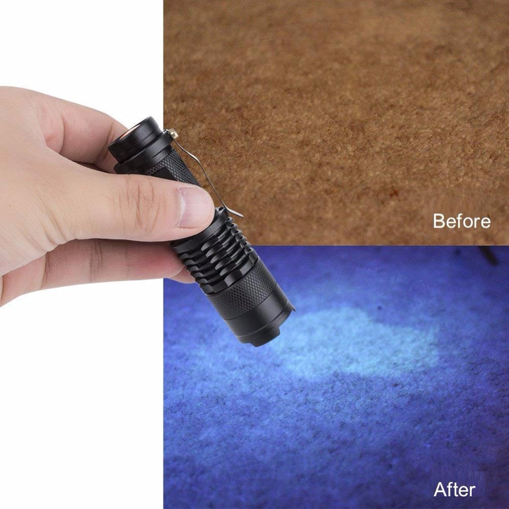 395nm 365nm flashlight detection light by My Store, compact black UV flashlight image