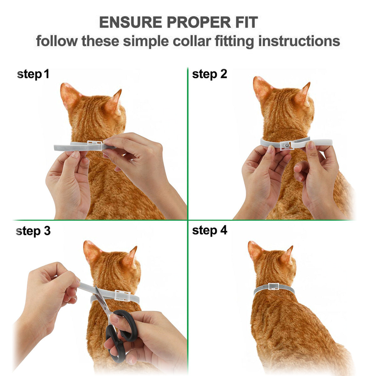 Premium flea and tick collar by My Store in close-up view
