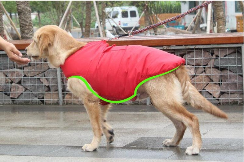 Winter cotton coat for dogs, soft padded pet clothing with warm coverage
