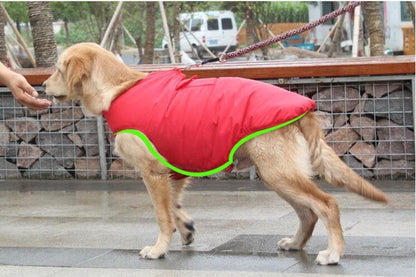 Winter cotton coat for dogs, soft padded pet clothing with warm coverage