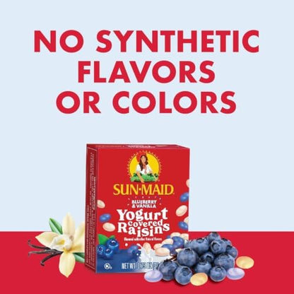 Sun-Maid raisin snack pack bundle with blueberry vanilla yogurt and classic California raisins in 1 oz boxes for all ages.