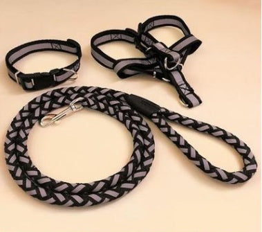 Pet dog leash by My Store shown in a close-up product view