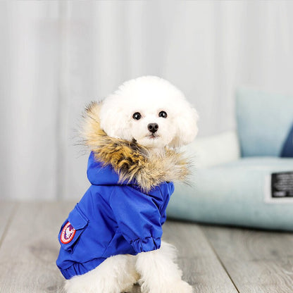 Pet dog wool hat and cotton clothes set from My Store
