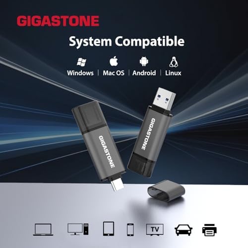 Gigastone 128GB dual USB flash drive 2-pack with USB-C and USB-A connectors, head cap design, speed up to 100MB/s.