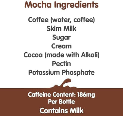 Dunkin' Mocha Iced Coffee in 13.7 fl oz bottles, pack of 12, featuring a dark chocolate and coffee beverage in a plastic bottle.