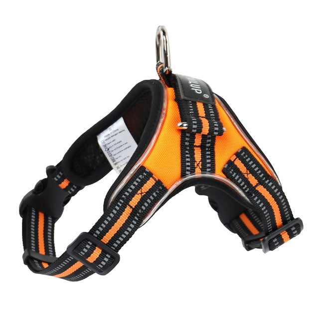 Glowing dog collar by My Store, illuminated collar displayed against a plain background
