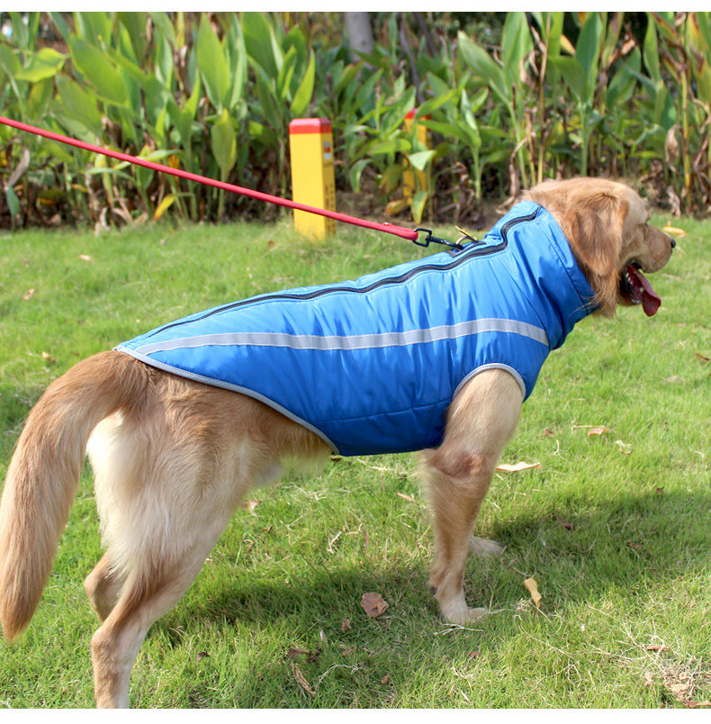 Medium-sized dog wearing a warm winter coat for large dogs, shown in a practical cold-weather design