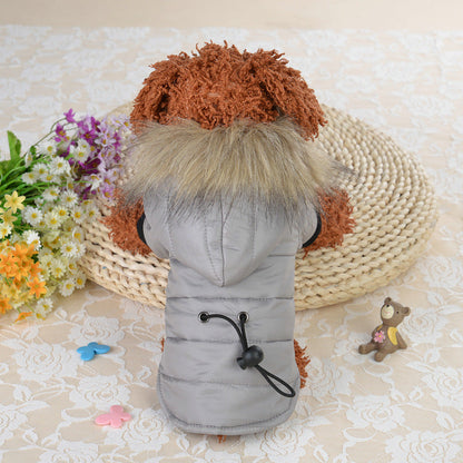 Pet light and warm cotton clothing by My Store for comfortable everyday wear