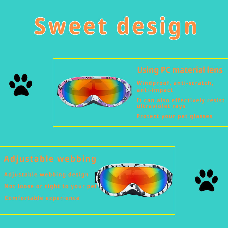 Cat windproof outdoor sunglasses with clear protective glasses lenses